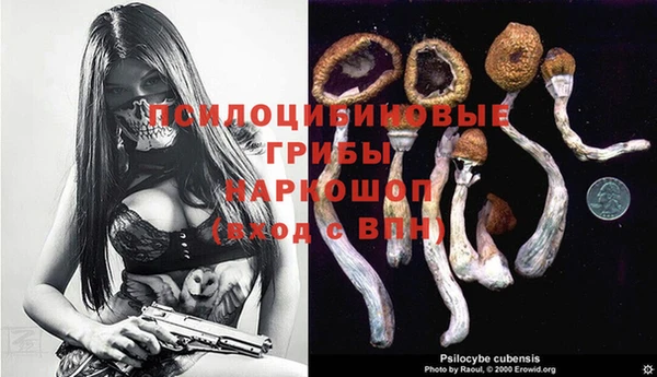 таблы Осинники