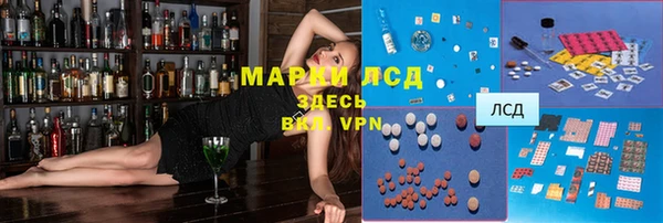 сатива Билибино
