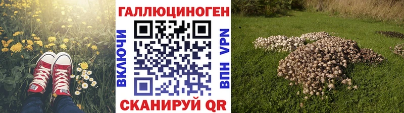 hydra ссылка  Кисловодск  Псилоцибиновые грибы GOLDEN TEACHER 